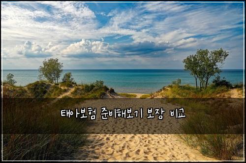 태아보험 준비해보기  보장 비교