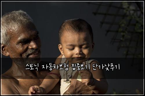 스토닉 자동차보험 집중보기  단가낮추기