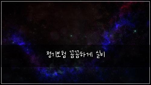 정기보험 꼼꼼하게  실비