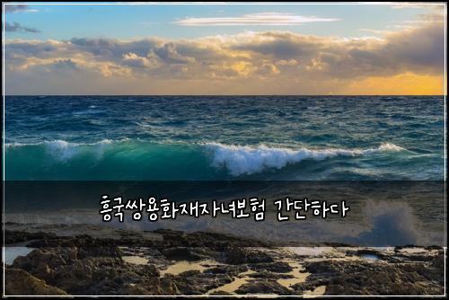 ํฅ๊ตญ์์ฉํ์ฌ์๋
๋ณดํ ๊ฐ๋จํ๋ค