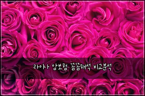 라이나 암보험 꼼꼼해석  비교분석
