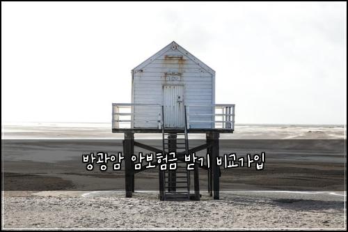 방광암 암보험금 받기 비교가입