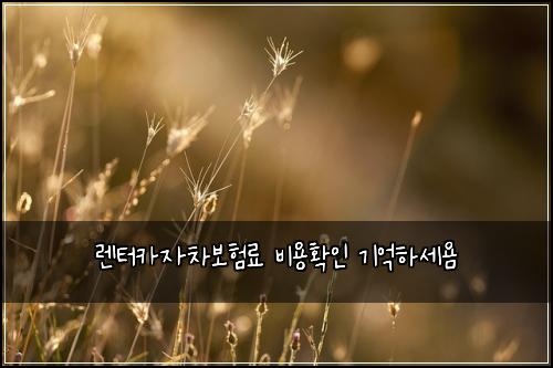 렌터카자차보험료 비용확인 기억하세욤