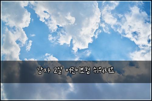 남자 2살 어린이보험 쉬워져요 