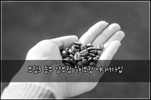 ๋ณดํ3 ๋๋ถ ์๋ณดํ ์ค๋น๋ณดํ ์ด๋์๊ฐ์
