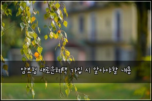 암보험 새로운혜택  가입 시 알아야할 내용
