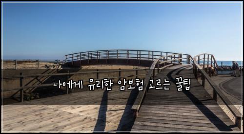 나에게 유리한 암보험 고르는 꿀팁