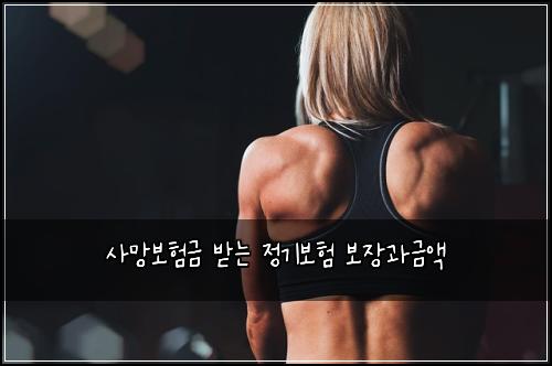 사망보험금 받는 정기보험 보장과금액