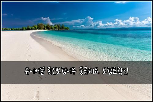 ์ ๋๋ฒ์
์ข
์ ๋ณดํ๋๋ฌด ๊ถ๊ธํด์ ๋ณดํ๋ฃํ์ธ