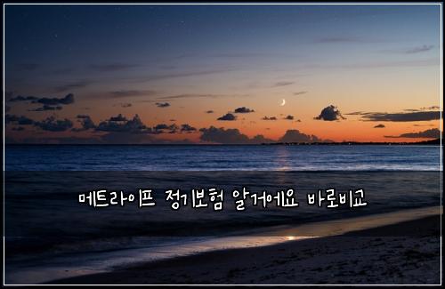 메트라이프 정기보험 알거에요  바로비교