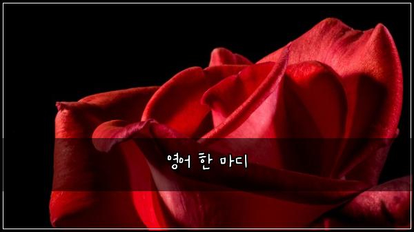 영어 한 마디