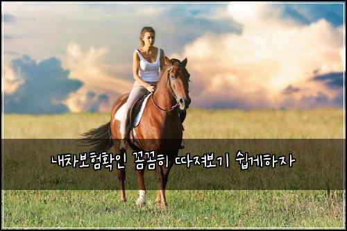 내차보험확인 꼼꼼히 따져보기 쉽게하자