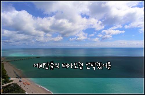 μλΉλ§λ€μ νμ보ν μ ννμ΄μ©