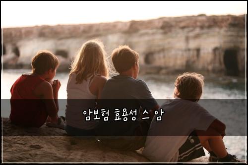 암보험 효용성  스 암