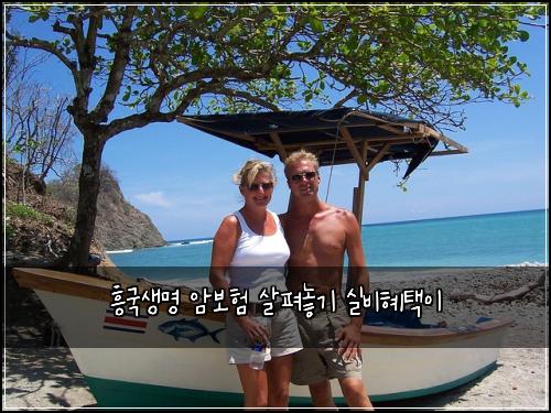 흥국생명 암보험 살펴놓기  실비혜택이