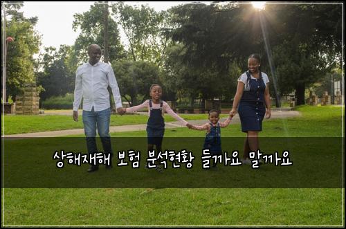 상해재해 보험 분석현황  들까요 말까요