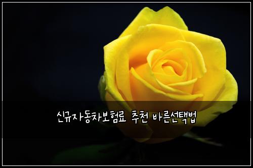 신규자동차보험료 추천 바른선택법