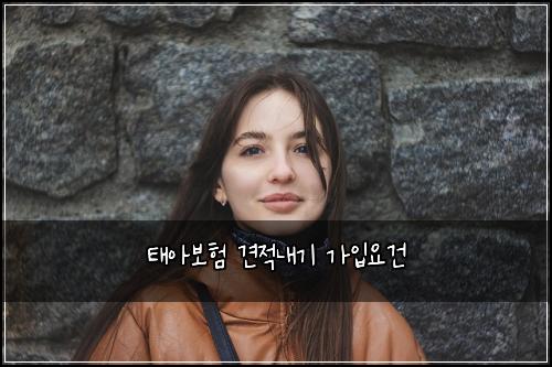 태아보험 견적내기  가입요건