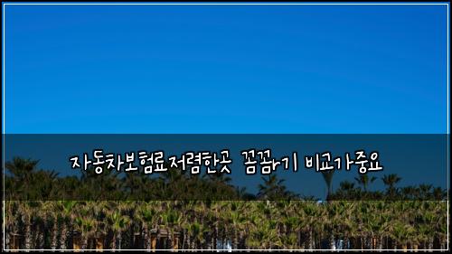자동차보험료저렴한곳 꼼꼼r기 비교가중요