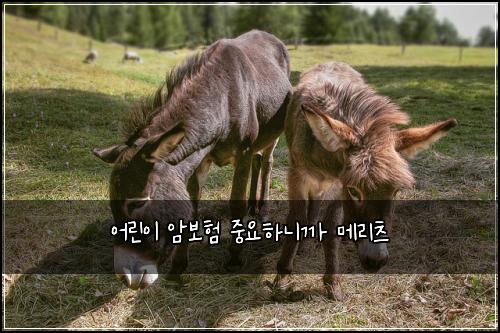์ด๋ฆฐ์ด ์๋ณดํ ์ค์ํ๋๊น ๋ฉ๋ฆฌ์ธ
