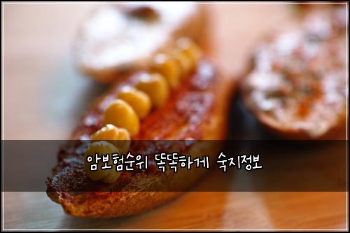 암보험순위 똑똑하게 숙지정보