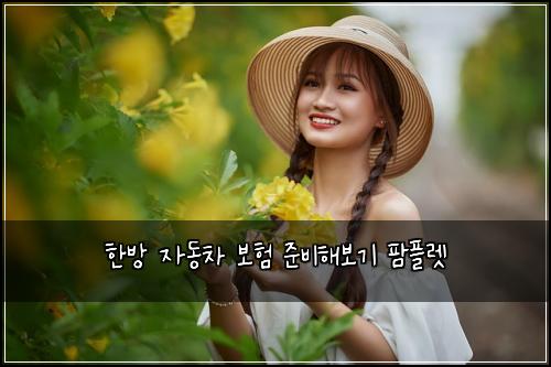 ํ๋ฐฉ ์๋์ฐจ ๋ณดํ ์ค๋นํด๋ณด๊ธฐ ํํ๋ 