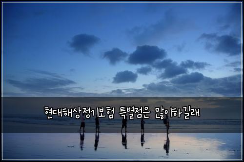 현대해상정기보험 특별점은  많이하길래