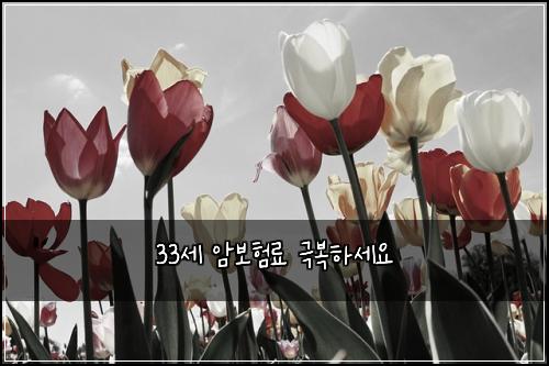 33세 암보험료 극복하세요