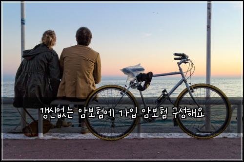 갱신없는 암보험에 가입 암보험 구성해요