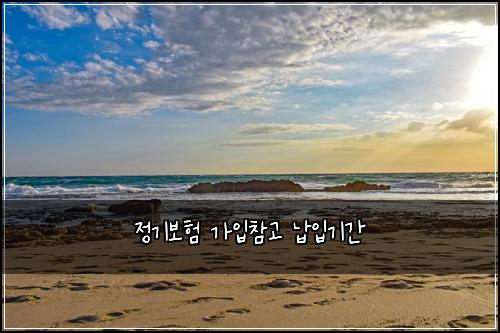 정기보험 가입참고  납입기간