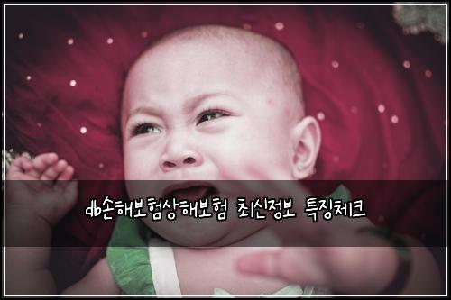 db손해보험상해보험 최신정보 특징체크