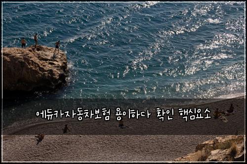 ์๋์นด์๋์ฐจ๋ณดํ ์ฉ์ดํ๋ค ํ์ธ ํต์ฌ์์