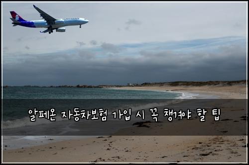 알페온 자동차보험 가입 시 꼭 챙겨야 할 팁