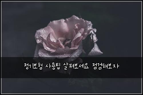 ์ ๊ธฐ๋ณดํ ์ฌ์ฉํ ์ดํด๋ณด์ธ์ ์ ๊ฒํด๋ณด์