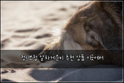 정기보험 알차게준비  추천 상품 이곳에서
