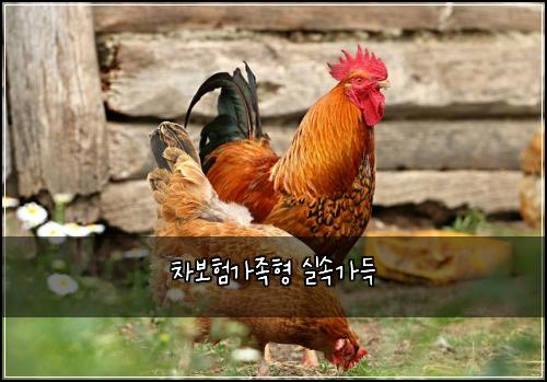 차보험가족형 실속가득