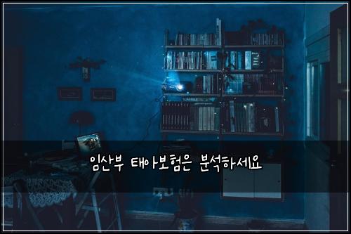 임산부 태아보험은 분석하세요