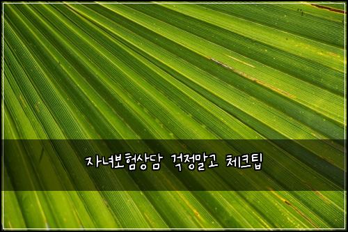 자녀보험상담 걱정말고 체크팁