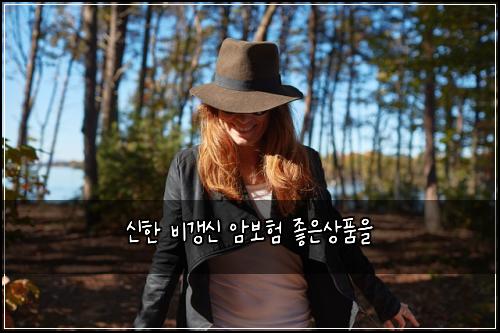 신한 비갱신 암보험 좋은상품을 