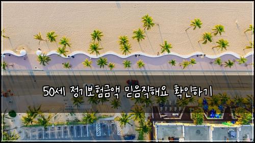 50세 정기보험금액 믿음직해요 확인하기