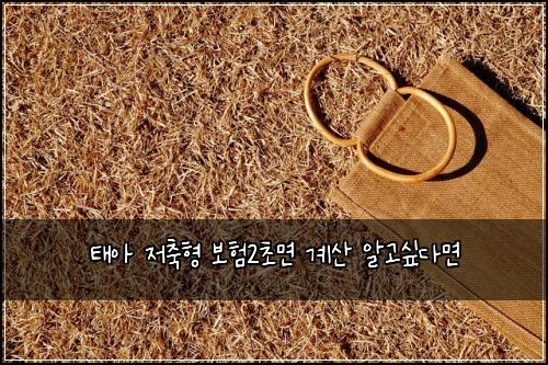 태아 저축형 보험2초면 계산 알고싶다면