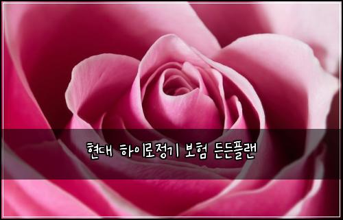 ํ๋ ํ์ด๋ก์ ๊ธฐ ๋ณดํ ๋ ๋ ํ๋