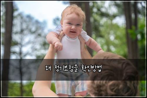 ์ ์ ๊ธฐ๋ณดํ์ ํ์ธ๋ฐฉ๋ฒ