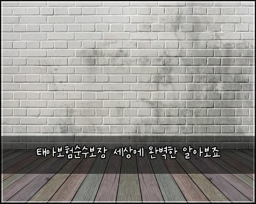 ํ์๋ณดํ์์๋ณด์ฅ ์ธ์์ ์๋ฒฝํ ์์๋ณด์ฃ