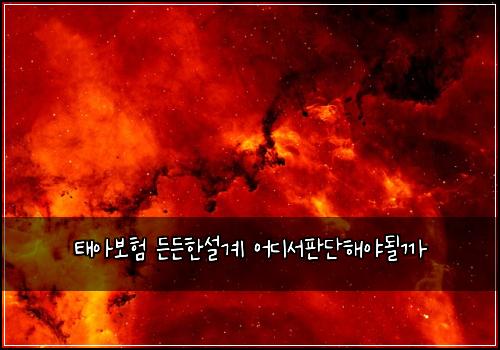 태아보험 든든한설계  어디서판단해야될까
