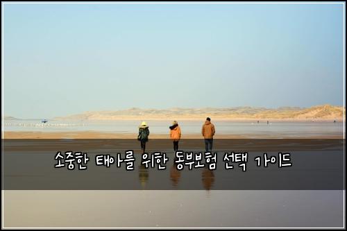 소중한 태아를 위한 동부보험 선택 가이드