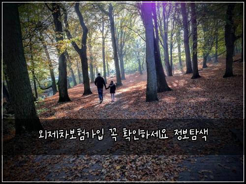 외제차보험가입 꼭 확인하세요 정보탐색