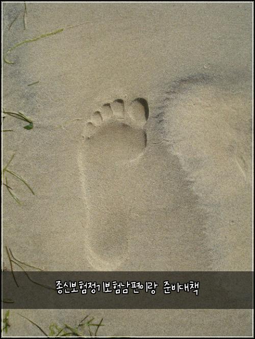 종신보험정기보험남편이랑 준비대책