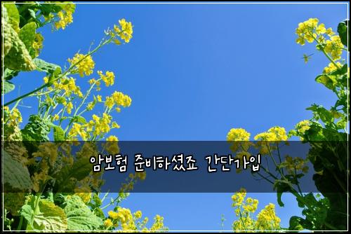 암보험 준비하셨죠  간단가입
