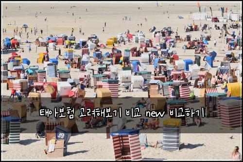태아보험 고려해보기  비교 new 비교하기
